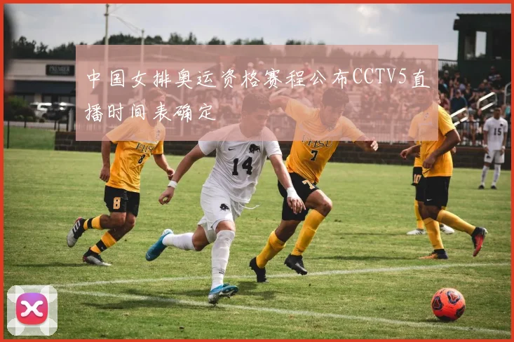中国女排奥运资格赛程公布CCTV5直播时间表确定