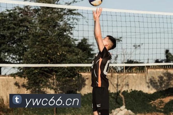 bat365手机版官网·(中国区)官方网站平台生态图