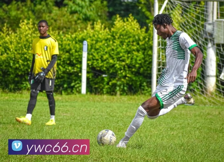 bat365手机版官网·(中国区)官方网站APP 封面图